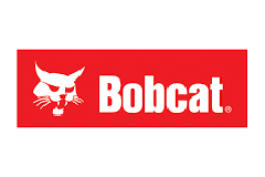 bobcat