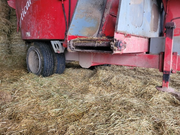 00054997.20231218_095312_RESIZED