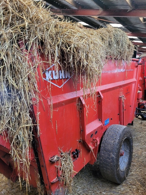 00058568.20240726_144650_RESIZED