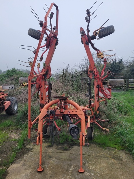 00058741.20241107_171736_RESIZED