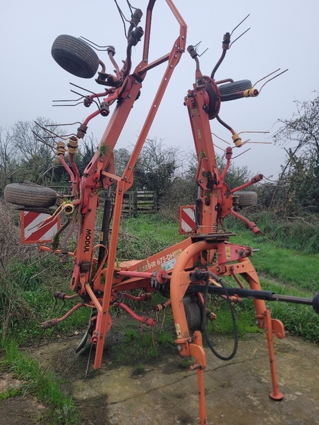 00058741.20241107_171742_RESIZED