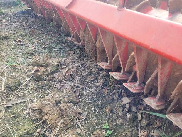 00059677.20240911_174030_RESIZED