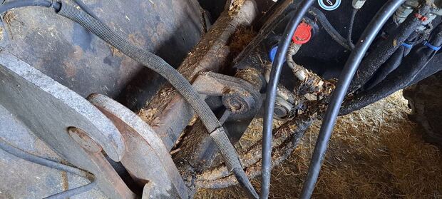 00060434.20241018_101909