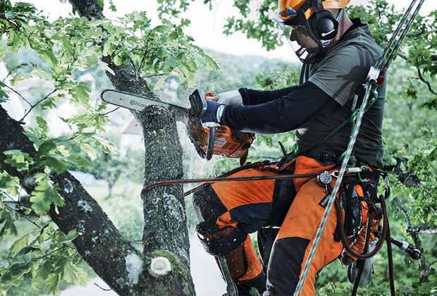 motoculture-taille-entretien-arbre-tronconneuse-elagueuse-husqvarna-servimac