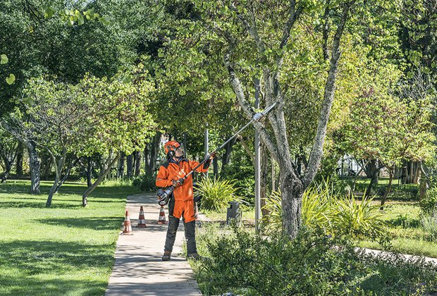 motoculture-taille-entretien-arbre-tronconneuse-perche-husqvarna-servimac